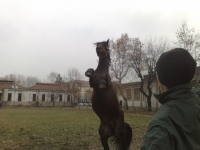 StancoDeLLITALIA